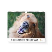 Huurdies - Golden Retriever Kalender - Jaarkalender 2024 - 35x24 - 300gms