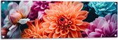Tuinposter – Veel Gekleurde Bloemen - 120x40 cm Foto op Tuinposter (wanddecoratie voor buiten en binnen)