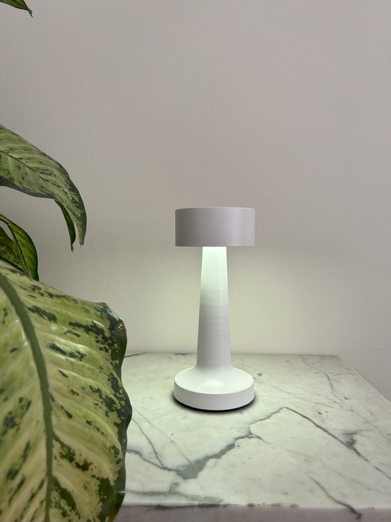 LED Buiten Tafellamp, Oplaadbare Batterij Tafellamp met Warm Wit en Koud Wit Dimbaar, Draadloos Bedlampje IP44 Waterdicht voor Binnen & Buiten Decoratie [Energieklasse A ] (Houten Basis