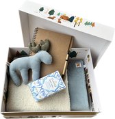 Baby cadeau meisje/jongen | Memory box | Kraamcadeau | babypakket | Origineel babycadeau blauw teddy | Lente kraampakket