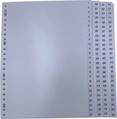 DULA Tabbladen plastic 1 tot 100 - Genummerd - A4 - Grijs - 23 gaten - PP