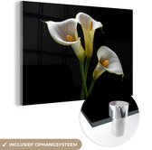 MuchoWow® Glasschilderij 30x20 cm - Schilderij acrylglas - Planten - Bloemen - Wit - Natuur - Botanisch - Foto op glas - Schilderijen