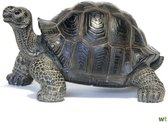 beeld land schildpad, polyresin 9x16x13cm