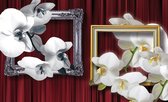 Fotobehang - Vlies Behang - Orchideeën in Fotolijsten - 208 x 146 cm