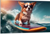 Dibond - Corgi Hond met Zwarte Zonnebril op Surfplank - 105x70 cm Foto op Aluminium (Wanddecoratie van metaal)