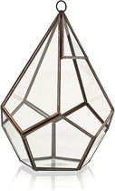 Glazen Terrarium Plant - Grote Piramide - Woondecoratie - 20.5x14x14cm - Bloempot - Terraria