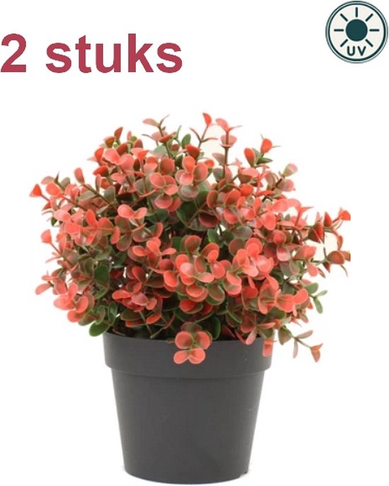 Kunstplant Buxus rood 19cm UV - voor binnen en buiten (2 stuks)