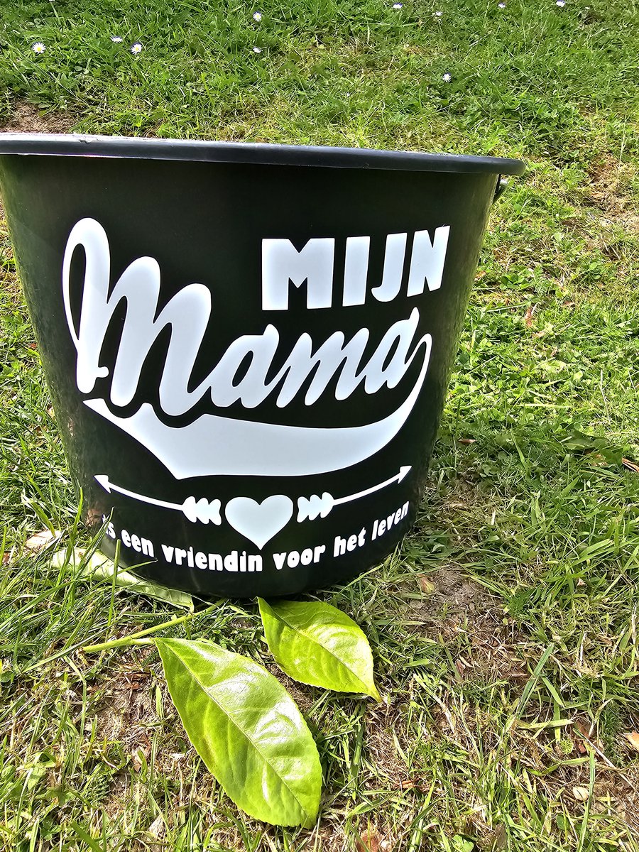 Mijn Mamma is een vriendin voor het leven