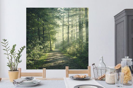 Stickers muraux - Film autocollant - Forêt - Chemin - Soleil - Arbres - Vert - Nature - 120x120 cm - Film adhésif - Stickers muraux Chambre d'enfant - Papier peint autocollant XXL