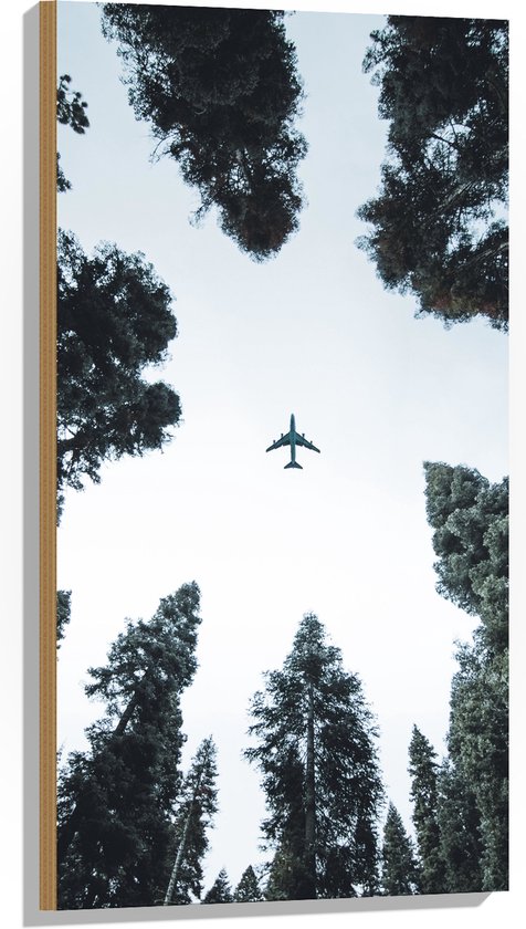 Hout - Onderaanzicht van Passagiersvliegtuig tussen Hoge Bomen - 50x100 cm - 9 mm dik - Foto op Hout (Met Ophangsysteem)