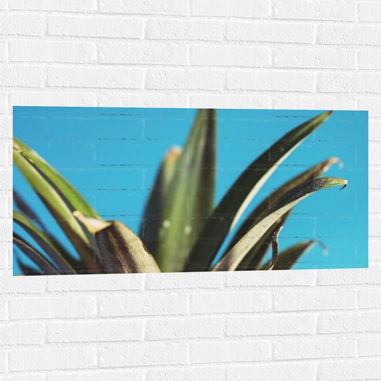Muursticker - Bladeren van Ananas met Blauwe Achtergrond - 100x50 cm Foto op Muursticker