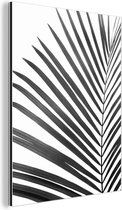 Wanddecoratie Metaal - Aluminium Schilderij Industrieel - Plant - Zwart wit - Natuur - Blad - 90x120 cm - Dibond - Foto op aluminium - Industriële muurdecoratie - Voor de woonkamer/slaapkamer