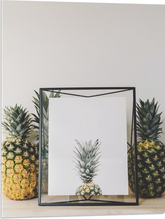 Acrylglas - Lijst met Ananas en Ananassen ernaast - 60x80 cm Foto op Acrylglas (Wanddecoratie op Acrylaat)