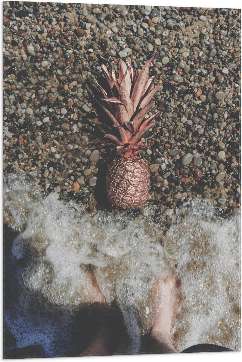 Vlag - Ananas op Kiezelstrand - 60x90 cm Foto op Polyester Vlag