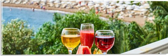 Acrylglas - Gekleurde Drankjes met Stukken Fruit en Uitzicht op een Baai - 60x20 cm Foto op Acrylglas (Met Ophangsysteem)