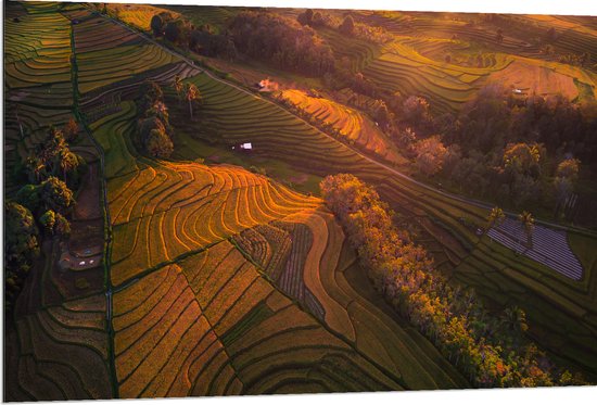 Dibond - Bovenaanzicht van Weiland op Bergen tijdens Zonsopkomst - 120x80 cm Foto op Aluminium (Wanddecoratie van metaal)