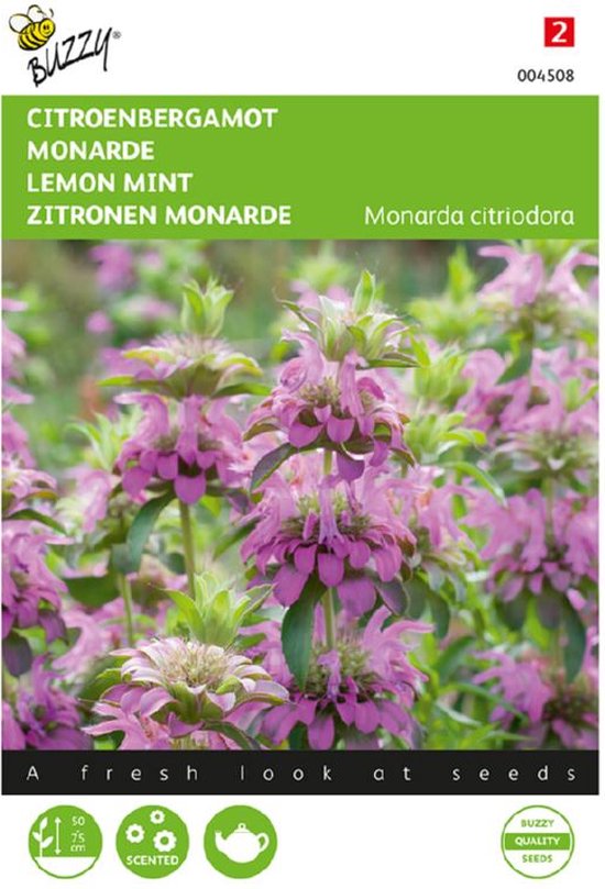 8 planten tegen muggen 9 Citroenbergamot ( Monarda citriodora)