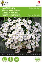 Hangpetunia White Ramblin ( Petunia fortunia)