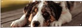 Tuinposter – Liggende Zwart met Witte Hond op Houten Picknicktafel - 150x50 cm Foto op Tuinposter (wanddecoratie voor buiten en binnen)