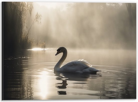 Dibond - Witte Zwaan Dobberend in de Schaduw op het Water - 40x30 cm Foto op Aluminium (Wanddecoratie van metaal)