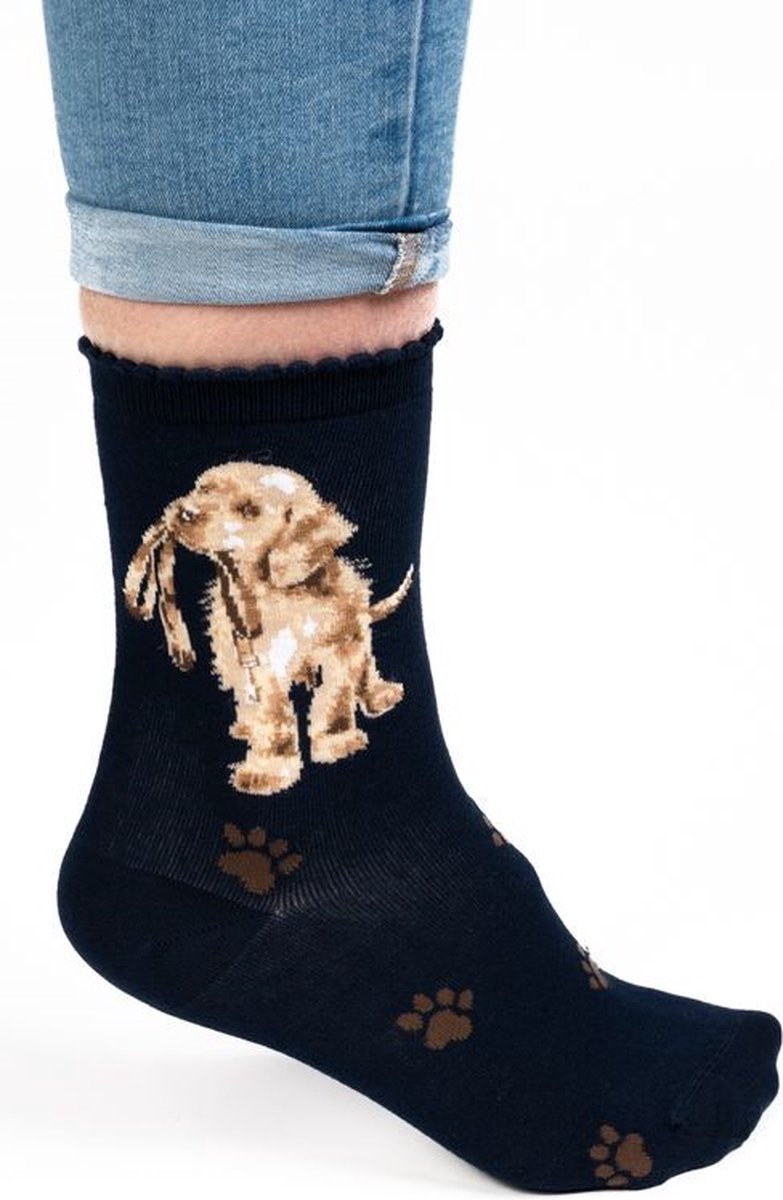 Wrendale Sokken - Hond (Blauw) - 'Hopeful' Labrador Socks