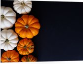 PVC Schuimplaat- Wit met Oranje Pompoenen op Zwarte Achtergrond - 100x75 cm Foto op PVC Schuimplaat