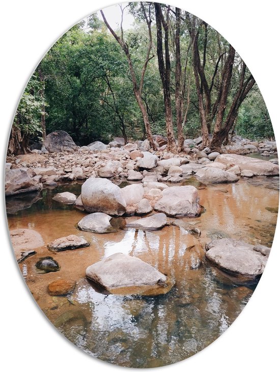 PVC Schuimplaat Ovaal - Water - Beekje - Stenen - Bomen - Bossen - 81x108 cm Foto op Ovaal (Met Ophangsysteem)