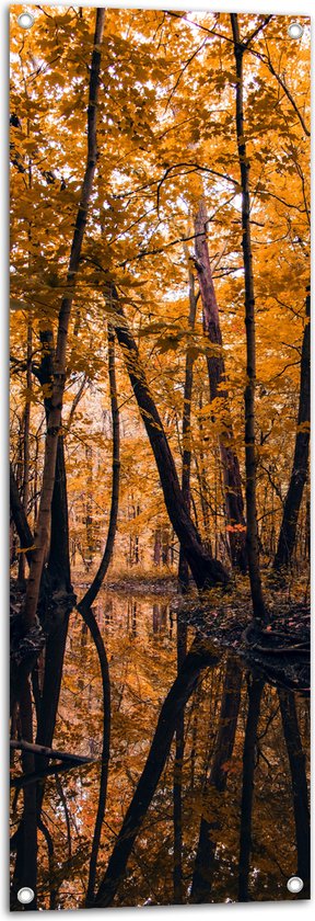 Tuinposter – Water - Beekje - Bomen - Bossen - Bladeren - Herfst - 40x120 cm Foto op Tuinposter (wanddecoratie voor buiten en binnen)