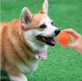 CHPN - Hondenbal - Hondenspeeltje - Bal - Oranje - Hondenaccessoire - Huisdieren - Dogtoy - Dogball - Ball - Blijft drijven