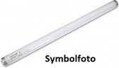 Replacement bulb 40 watt for the insectkiller 372 and 397 from Moel
