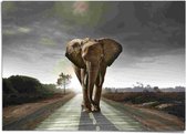 XXL Poster Wandelende olifant 100x140 cm