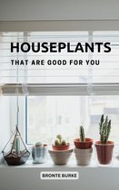 Houseplants That Are Good For You