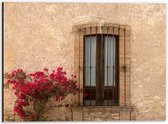 Dibond - Rode Bloemenstruik bij Deur van Traditioneel Italiaans Huis - 40x30 cm Foto op Aluminium (Wanddecoratie van metaal)