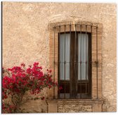 Dibond - Rode Bloemenstruik bij Deur van Traditioneel Italiaans Huis - 50x50 cm Foto op Aluminium (Wanddecoratie van metaal)