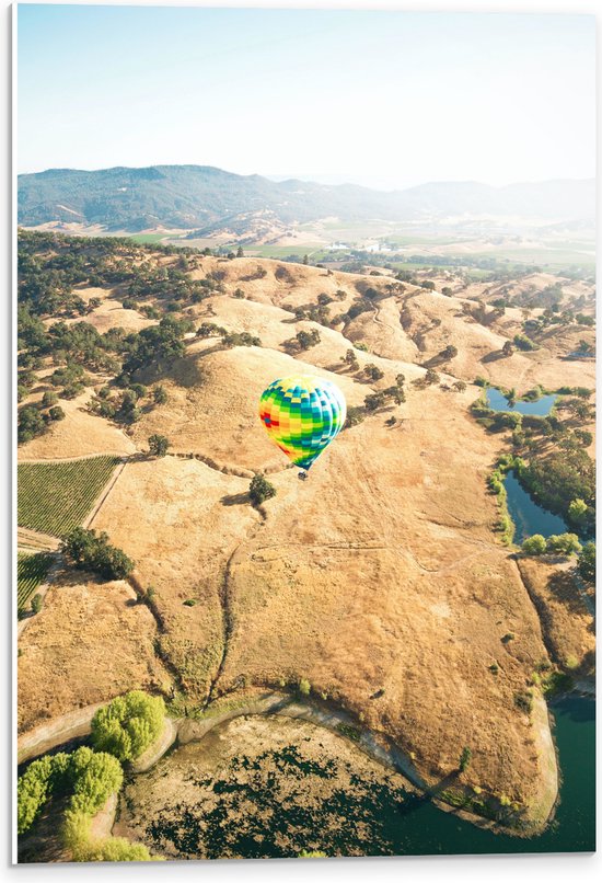 PVC Schuimplaat - Bergen - Luchtballon - Water - Bomen - 40x60 cm Foto op PVC Schuimplaat (Met Ophangsysteem)