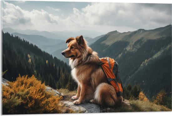 Acrylglas - Reizende Hond met Rugzak op Top van de Berg - 90x60 cm Foto op Acrylglas (Wanddecoratie op Acrylaat)