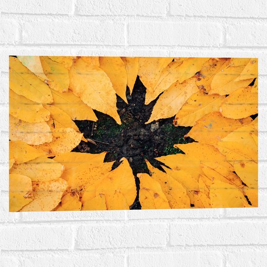 Muursticker - Bladeren - Herfst - Canada - Gras - 60x40 cm Foto op Muursticker