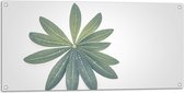 Tuinposter – Bloem - Plant - Bladeren - Groen - 100x50 cm Foto op Tuinposter (wanddecoratie voor buiten en binnen)