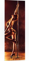 PVC Schuimplaat- Sexy Paaldanseres op Podium - 40x120 cm Foto op PVC Schuimplaat