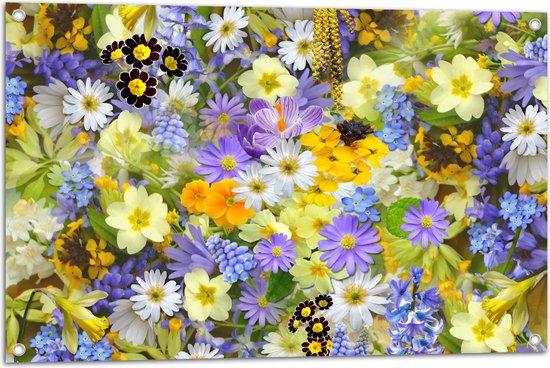 Tuinposter – Bloemen - Natuur - Kleur - 90x60 cm Foto op Tuinposter (wanddecoratie voor buiten en binnen)