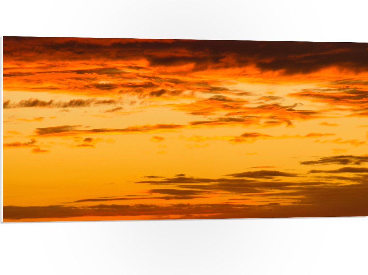 PVC Schuimplaat - Oranje Gloed over de Sluierbewolking in de Lucht - 100x50 cm Foto op PVC Schuimplaat (Met Ophangsysteem)