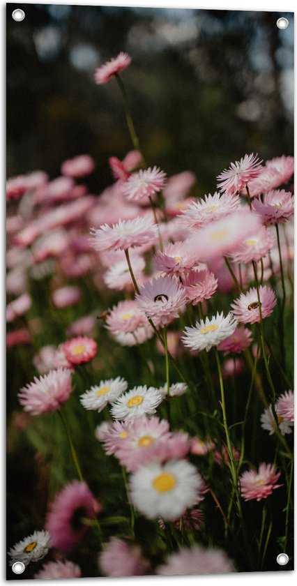 Tuinposter – Bloemen - Bomen - Bossen - Roze - 50x100 cm Foto op Tuinposter (wanddecoratie voor buiten en binnen)