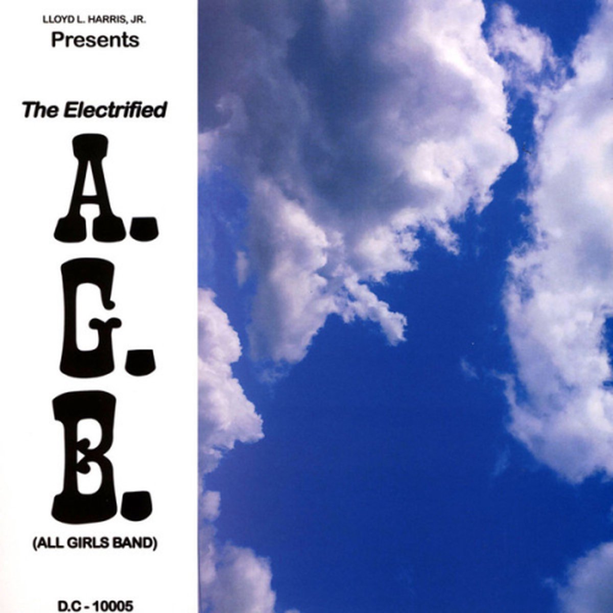 The Electrified A.g.b. - Fly Away (disco Version)