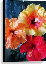 Canvas - Bloemen - Natuur - Roze - Oranje - Geel - 40x60 cm Foto op Canvas Schilderij (Wanddecoratie op Canvas)