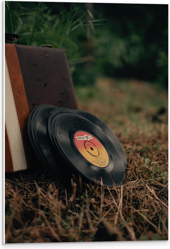 PVC Schuimplaat- Muziekplaten tegen Vintage Koffer in Landschap - 40x60 cm Foto op PVC Schuimplaat