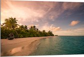 Dibond - Ligbed aan Palmboom op Strand van Onbewoond Eiland - 120x80 cm Foto op Aluminium (Met Ophangsysteem)