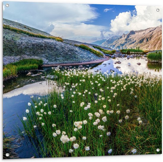 Tuinposter – Bergen - Water - Planten - Bloemen - Wolken - 100x100 cm Foto op Tuinposter (wanddecoratie voor buiten en binnen)