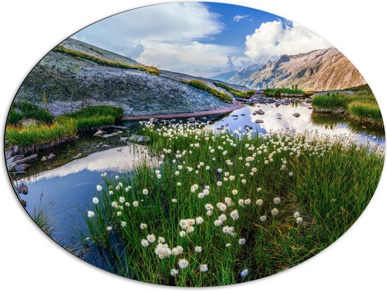 Dibond Ovaal - Bergen - Water - Planten - Bloemen - Wolken - 80x60 cm Foto op Ovaal (Met Ophangsysteem)