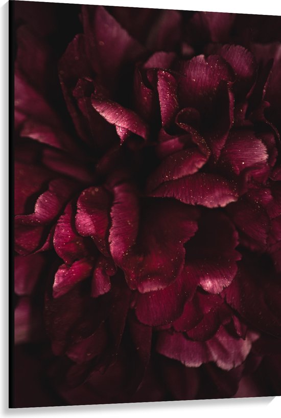 Canvas - Bladeren - Roze - Plant -Bloem - 100x150 cm Foto op Canvas Schilderij (Wanddecoratie op Canvas)