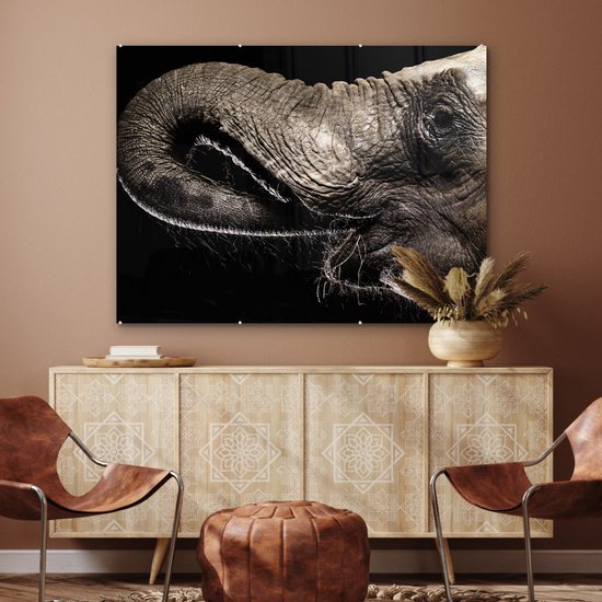MuchoWow® Peinture sur verre 120x90 cm - Peinture sur verre acrylique - Éléphant - Animaux - Zwart - Nature - Photo sur verre - Peintures